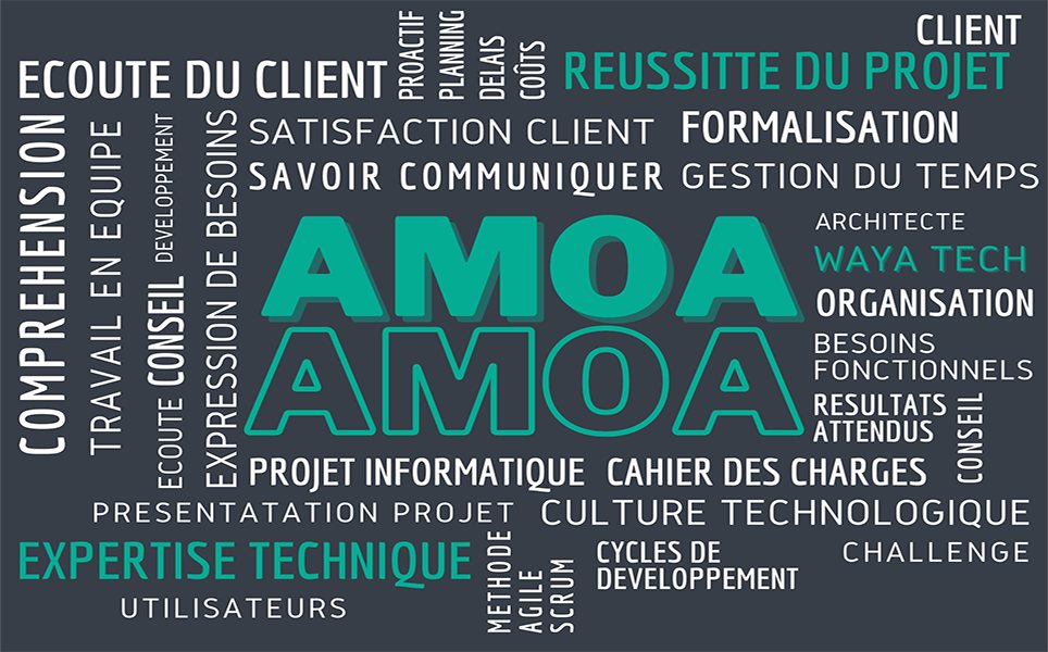 Conduite de changement & AMOA